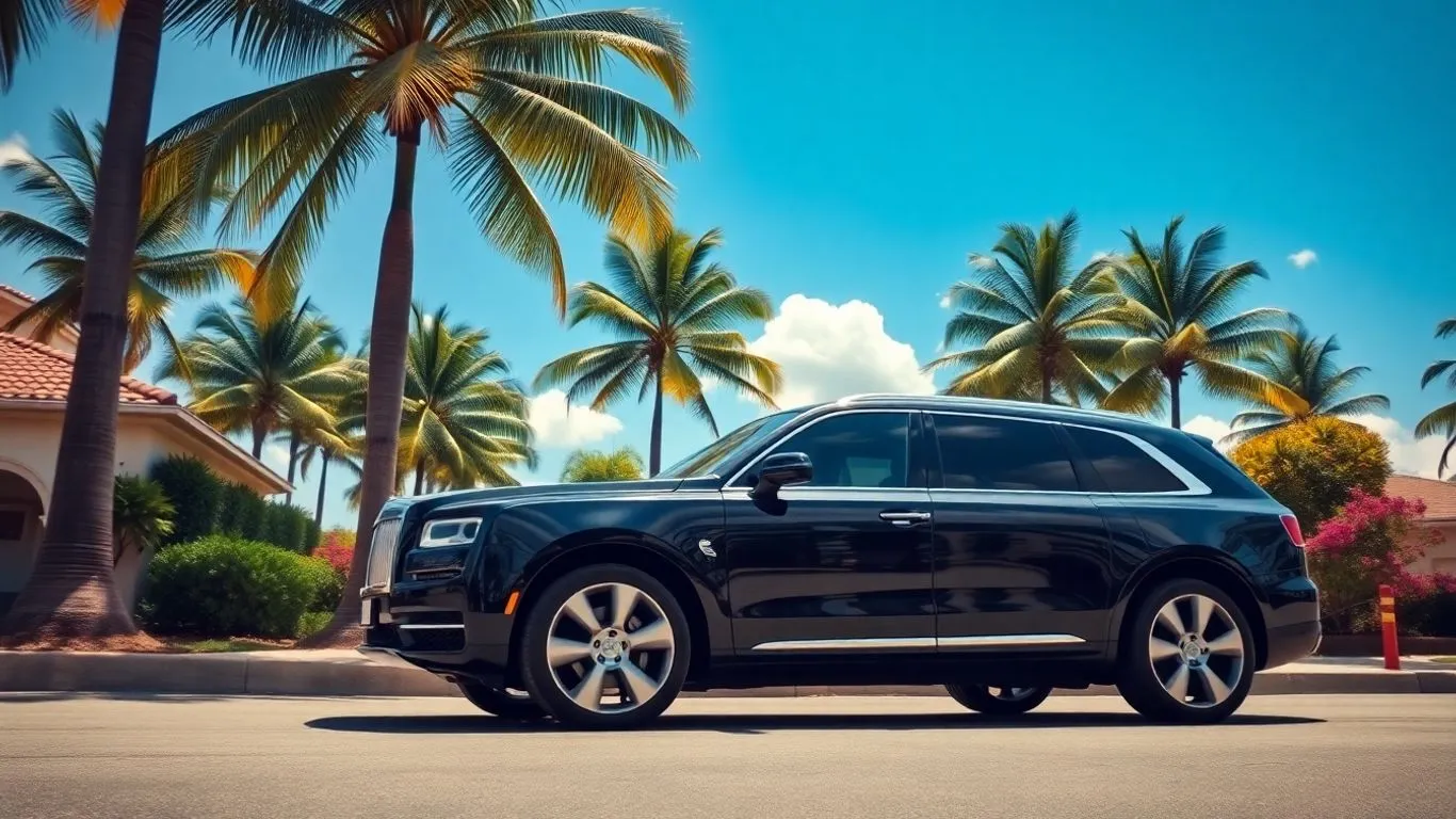 VIP Escort for Travelers in dominican republic